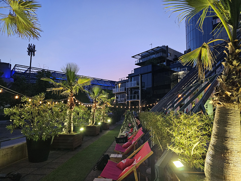 soiree celibataire terrasse paris
